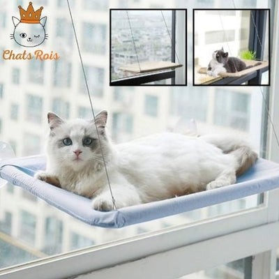 Hamac-pour-chat-Suspendu-observatoire-felin-et-gain-de-place-bleu