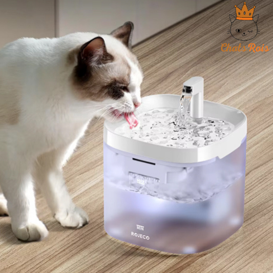 fontaine-a-eau-chat-2-modes-de-fonctionnement-1.5L-filtration-double