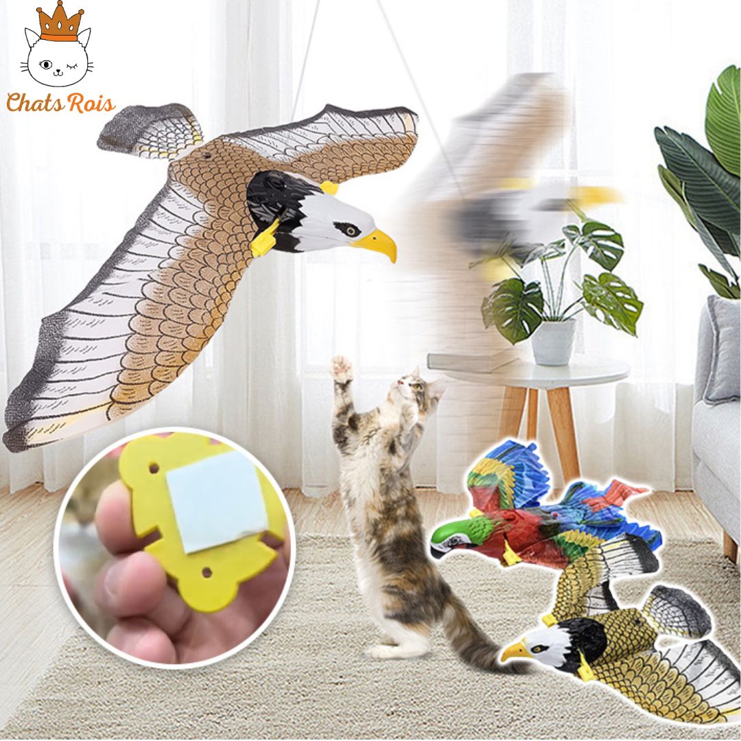jeux pour chat oiseau volant