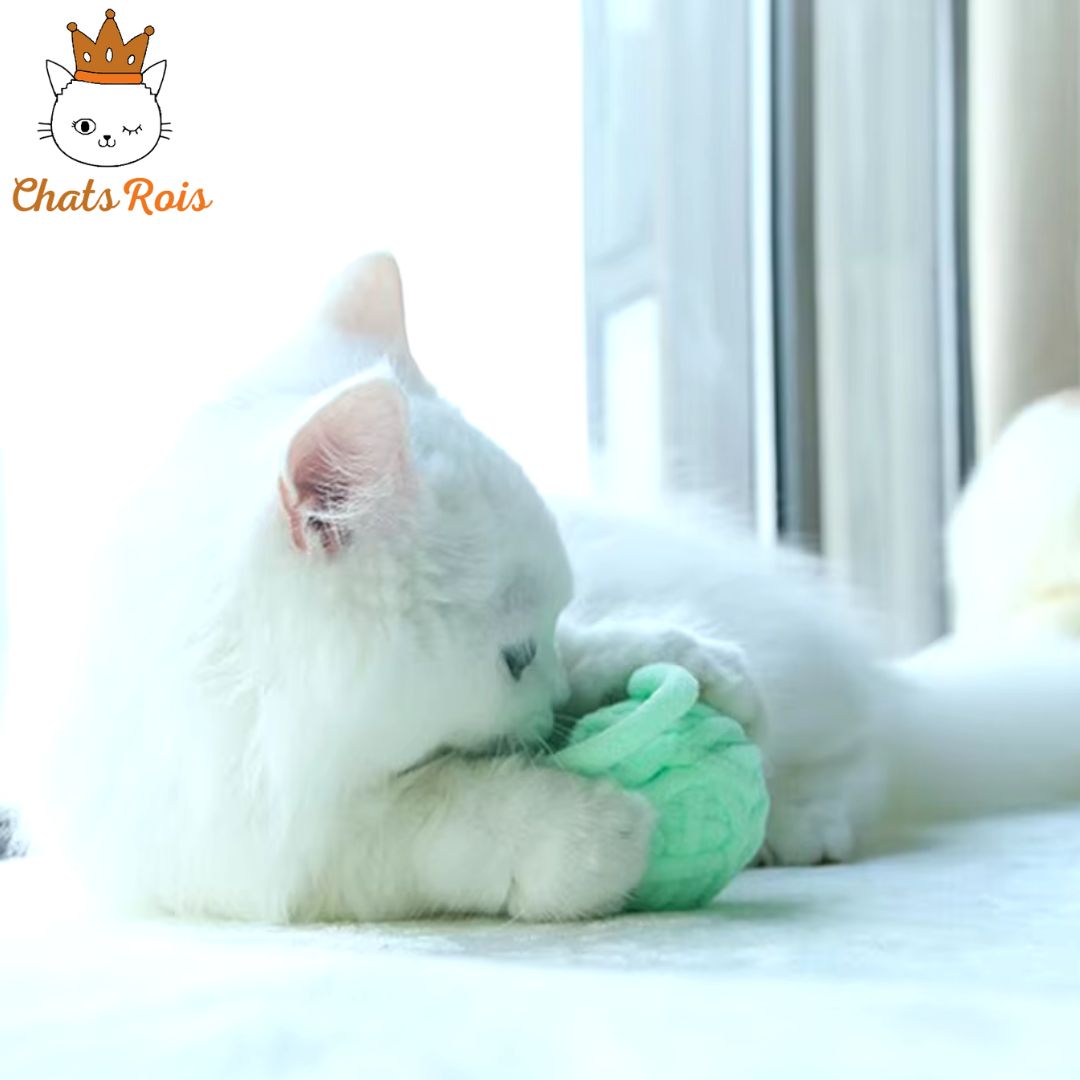 jouet-pour-chat-balle-a-laine-vert-favorise-comportement-plus-calme