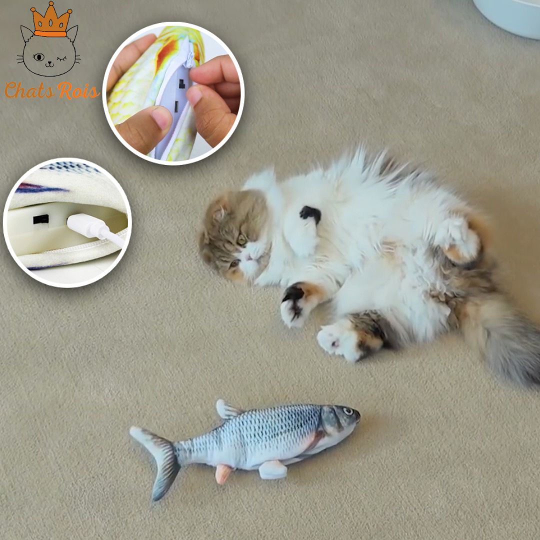 jouet-pour-chat-poisson-electrique-stimule-l_intinct-de-chasse