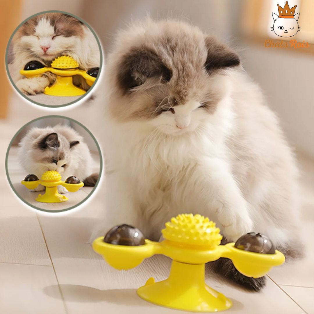 jouet-pour-chat-tourbillon-stimule-et-divertie