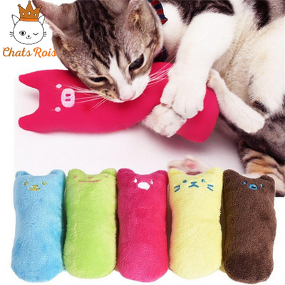 jeux-pour-chat-peluche-dent-rose