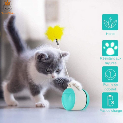jeux-pour-chat-roue-equilibree-interactif-plume-balle-tige