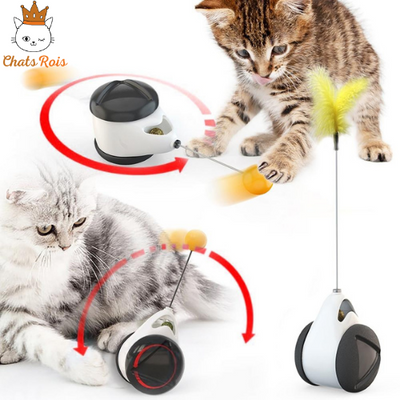 jeux-pour-chat-roue-équilibree-pivotante