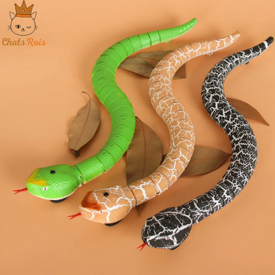 jeux-pour-chat-serpent-telecommande-interactif