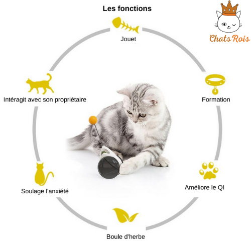 jouet-pour-chat-roue-équilibree-multifonction