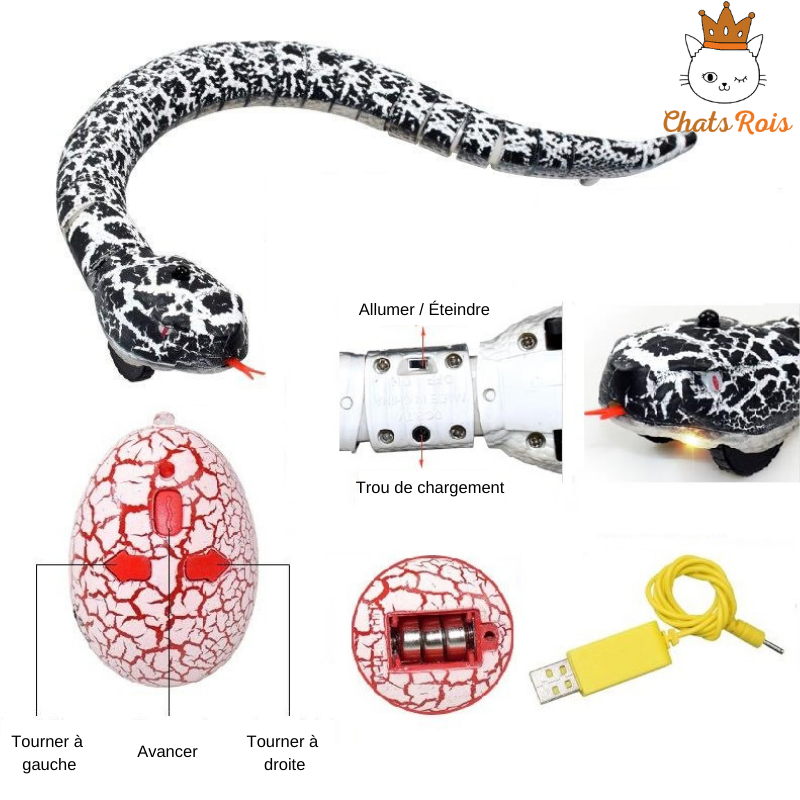 jouet-pour-chat-serpent-telecommande-interactif-stimulant-noir